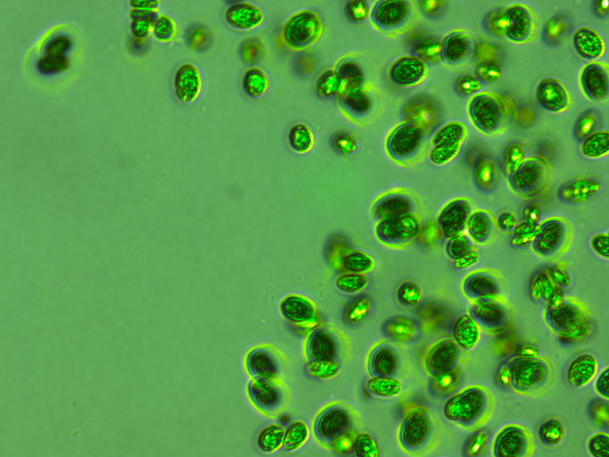 Go to the profile of Elisa Schaum