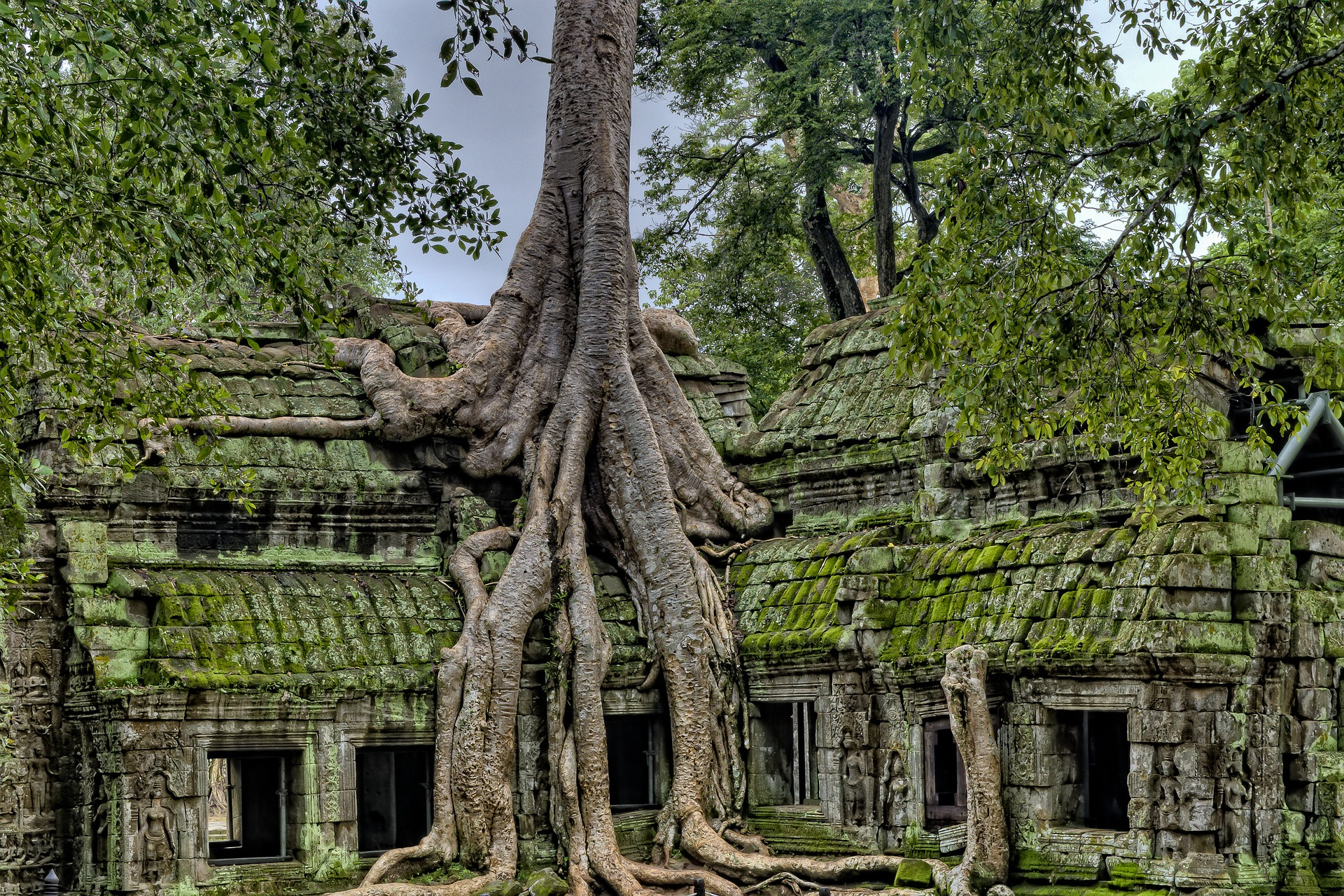 Book Review: Lessons From the Rise and Fall of Ancient Cities