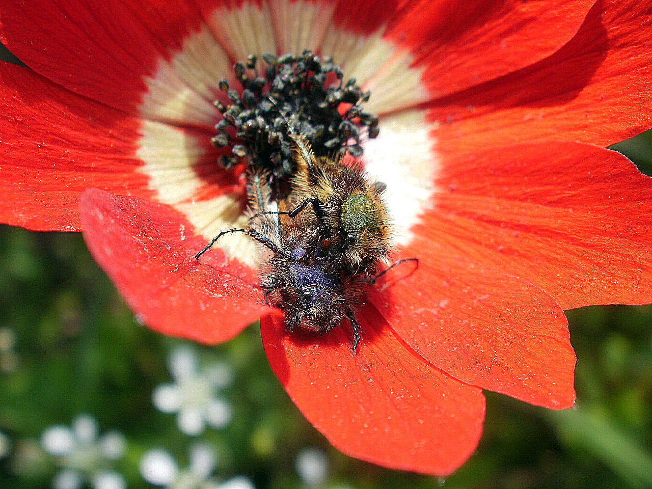 Go to the profile of Aphrodite Kantsa