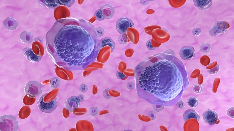 Your space to connect: The Myeloid cell function and dysfunction Hub 