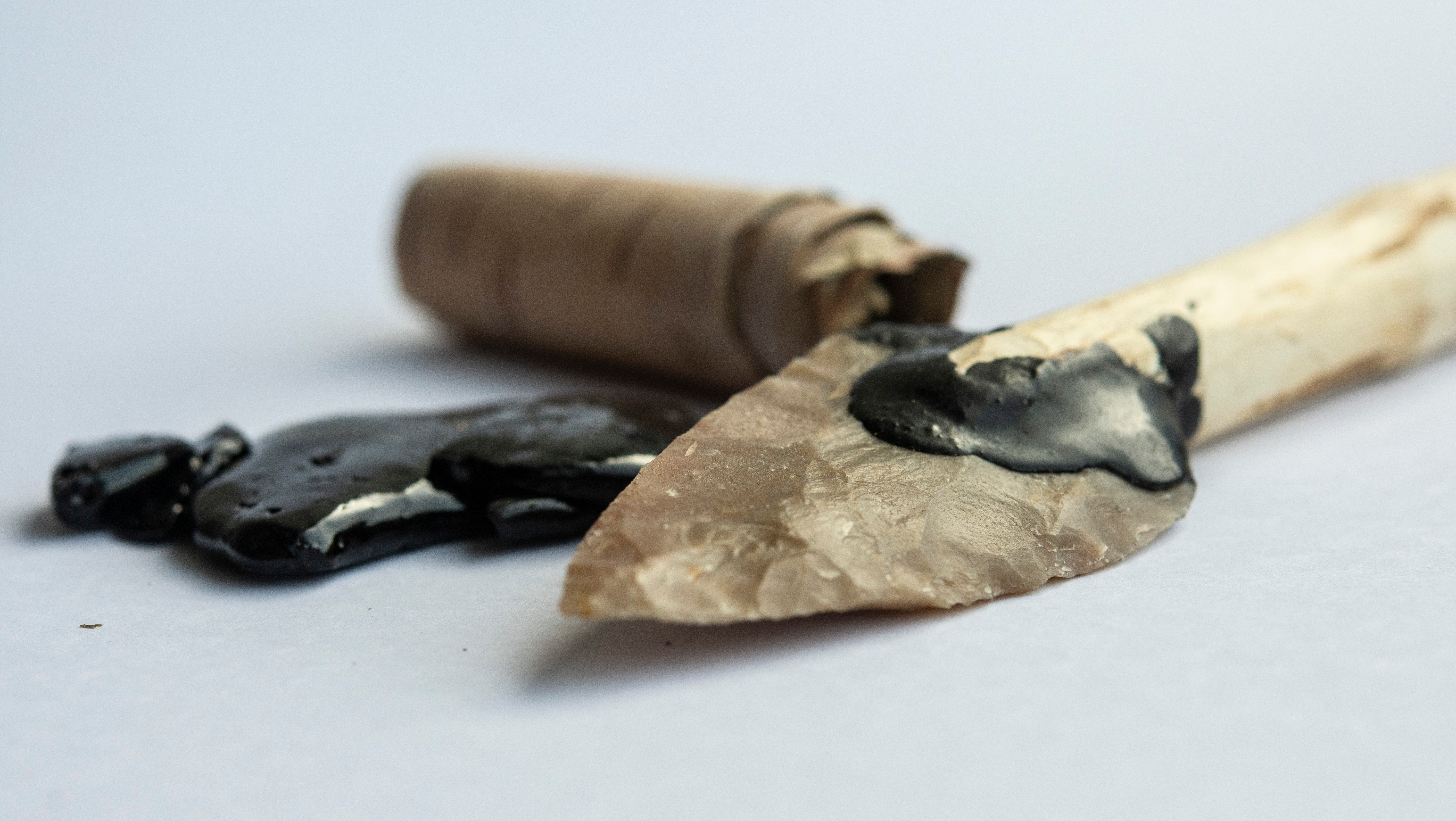 A biomolecular approach to Neanderthal technology