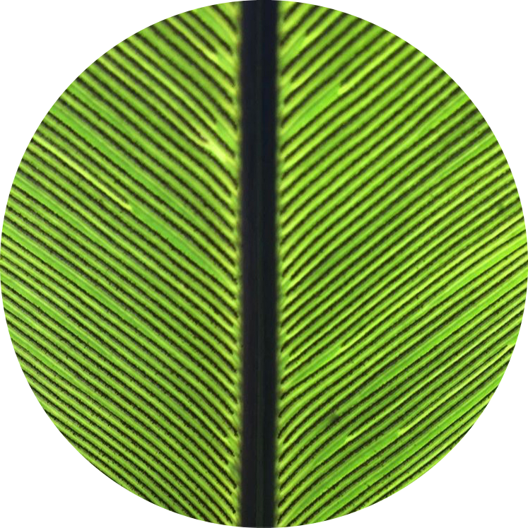 Go to the profile of Santiago Ramirez Barahona