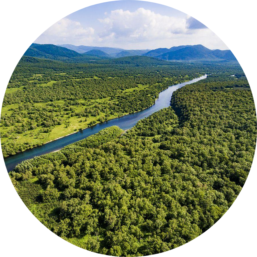 Go to the profile of Ning Chen