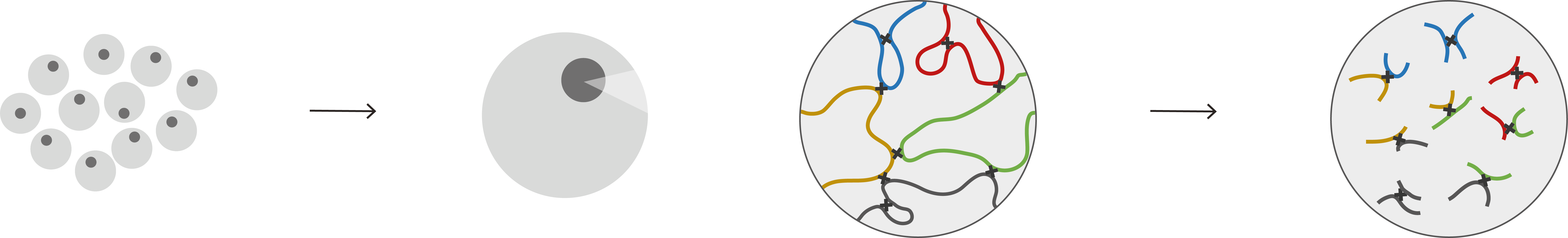 One stop shop for the analysis of Capture Hi-C data