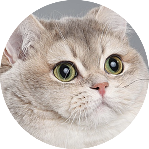 Go to the profile of lasia77