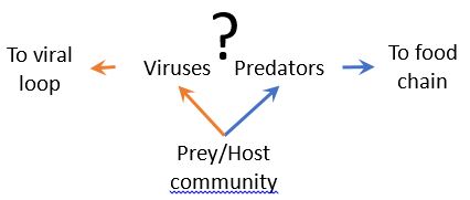 Is “Evolutionary Stable Communities” the arena to link “–omics” data to ecosystem functioning?