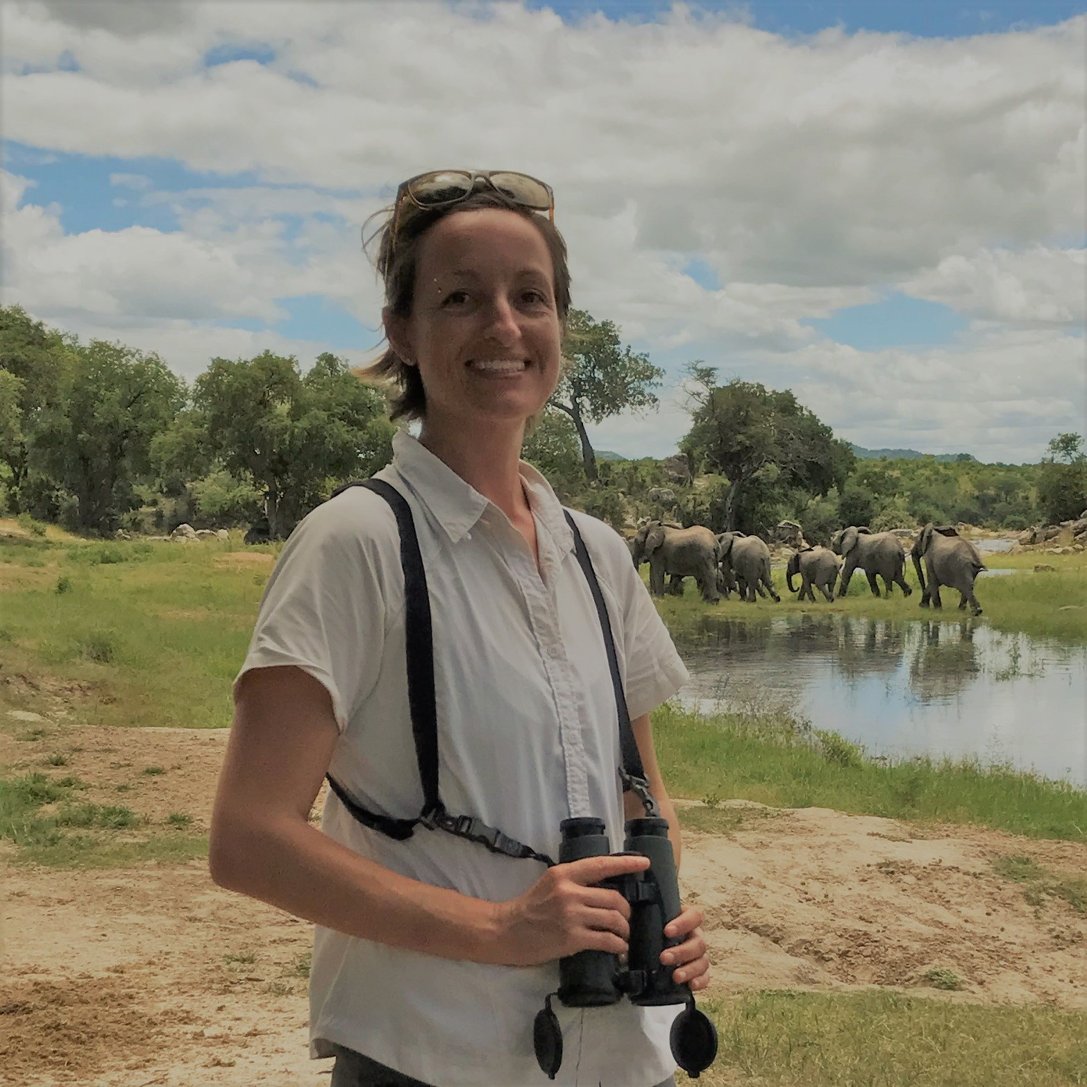 Go to the profile of Ayesha Tulloch