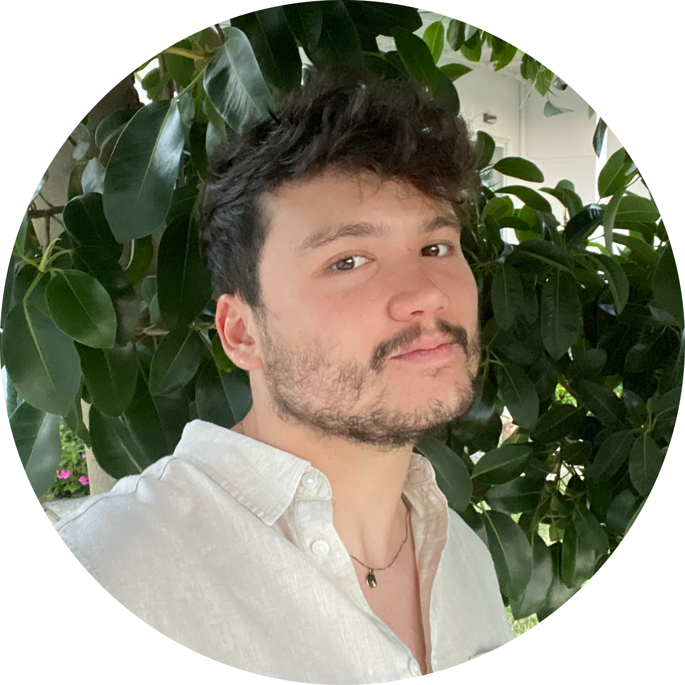 Go to the profile of Luís M. Silva