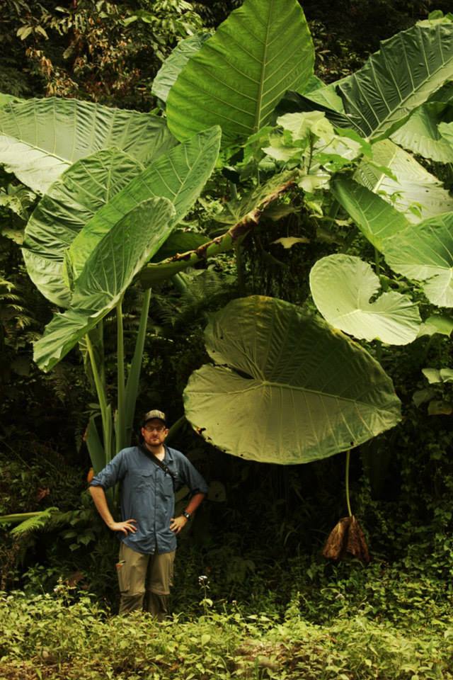 Go to the profile of Dave Armitage