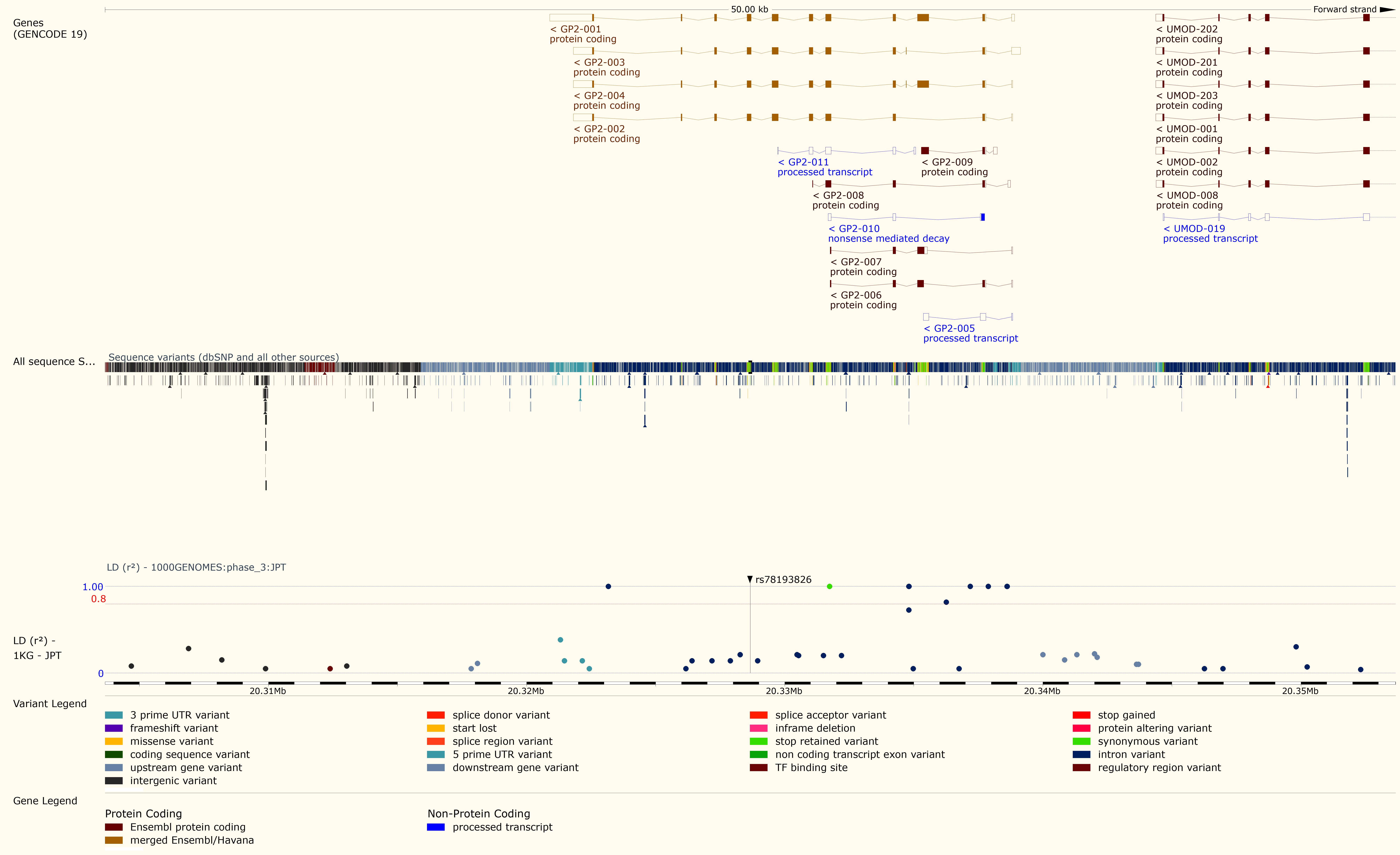 
Rs78193826, GP2 gene locus and pancreatic cancer susceptibility