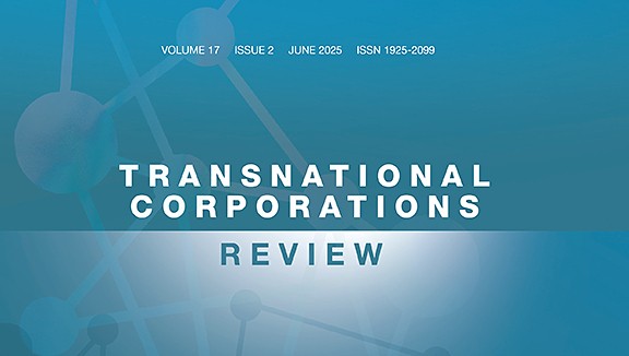 Looking under the carpet: A granular approach to the unusual productivity growth in Ireland