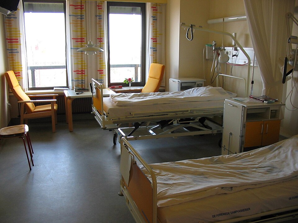 The hidden microbial life of hospital water networks