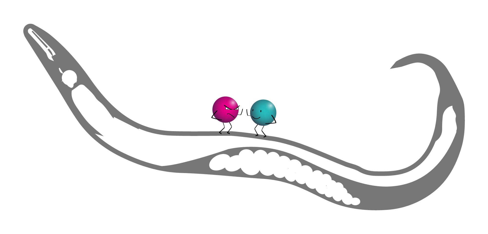 Learning how microbes can drive the evolution of less harmful pathogens within hosts.