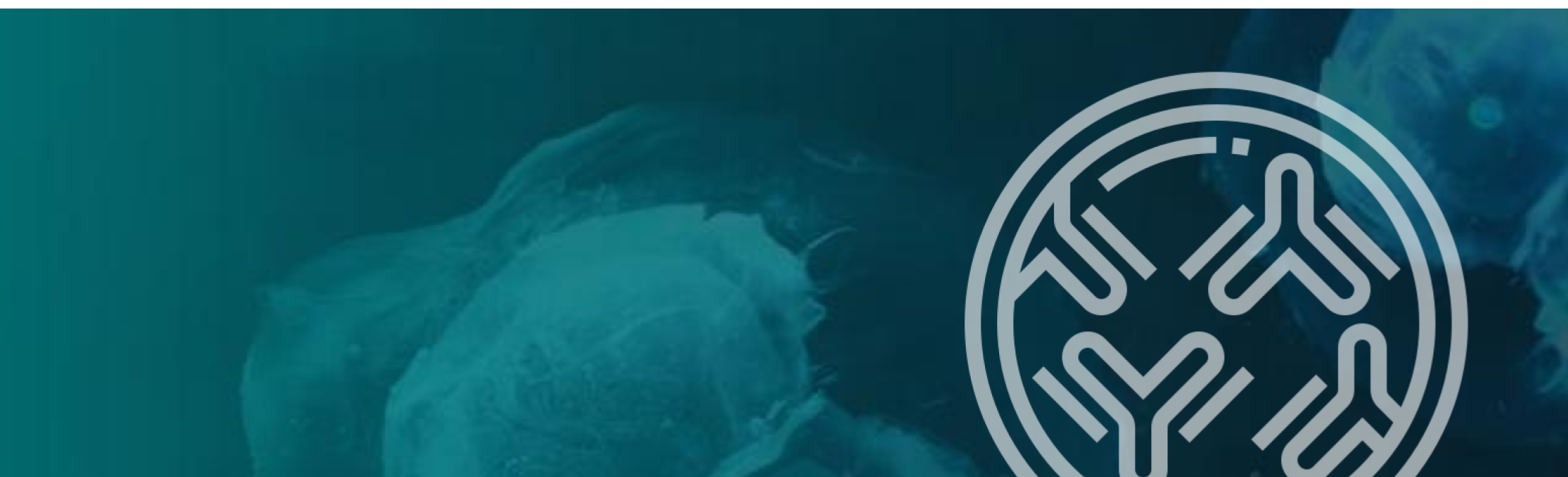 Antibody search and profiling (Beta version) on Springer Nature Experiments