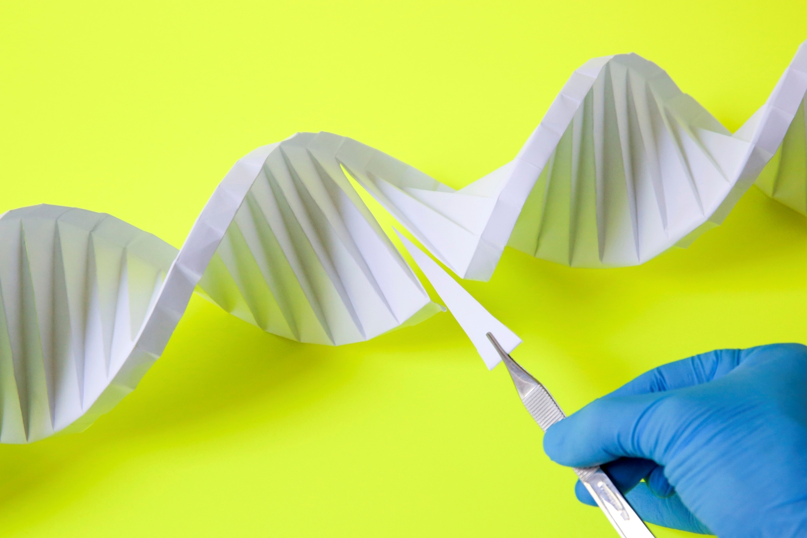 Improving the gene editing toolbox Collection – Contribution Highlights