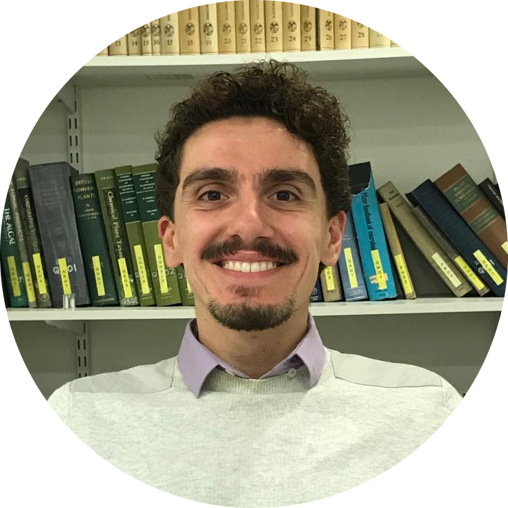 Go to the profile of Alessandro Alcinesio