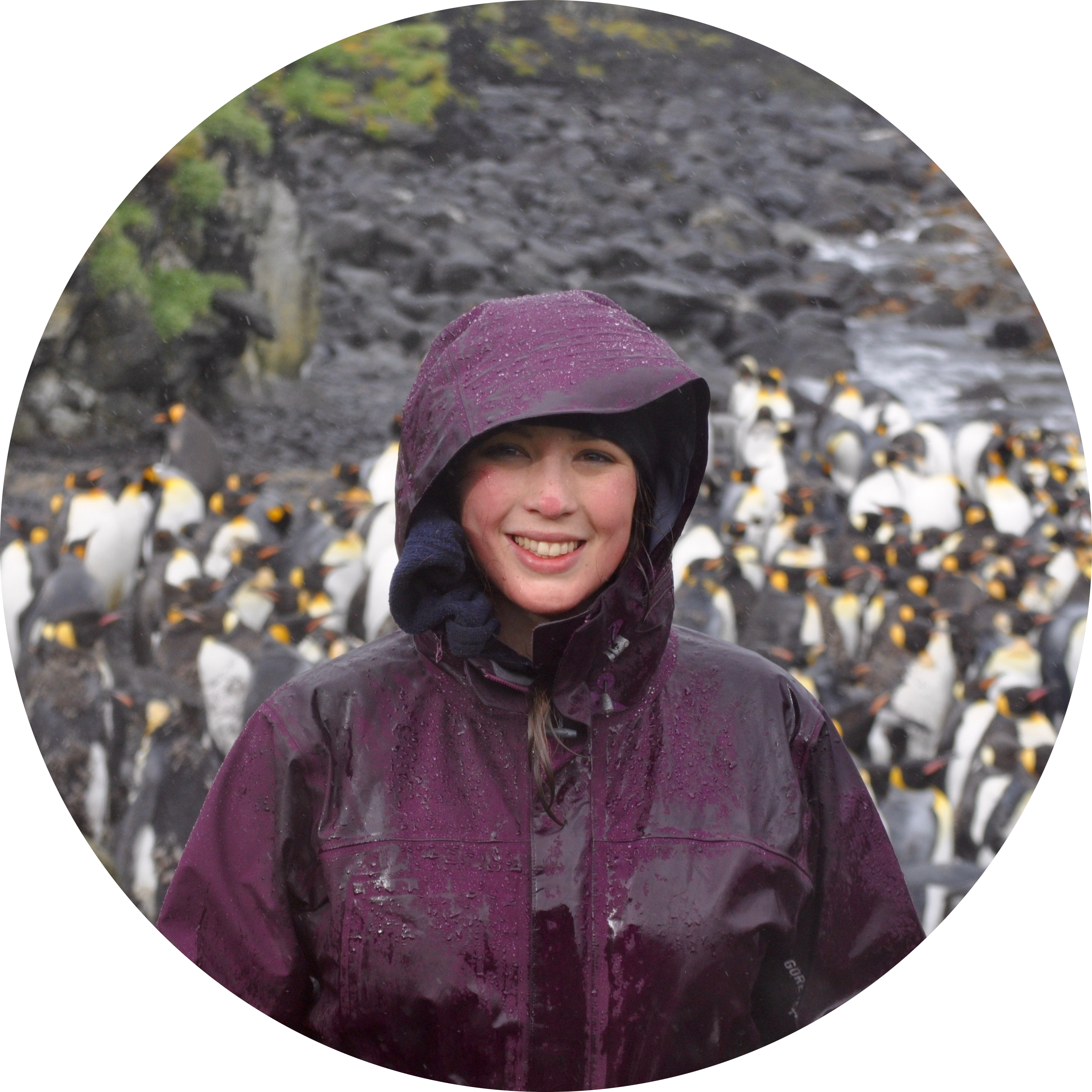 Go to the profile of Rachel I Leihy