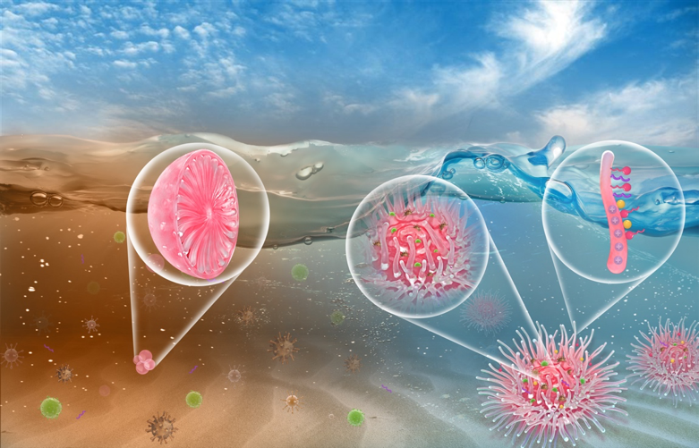 Single-Step Water Treatment with a Multi-Functional Biomimetic Nanocoagulant