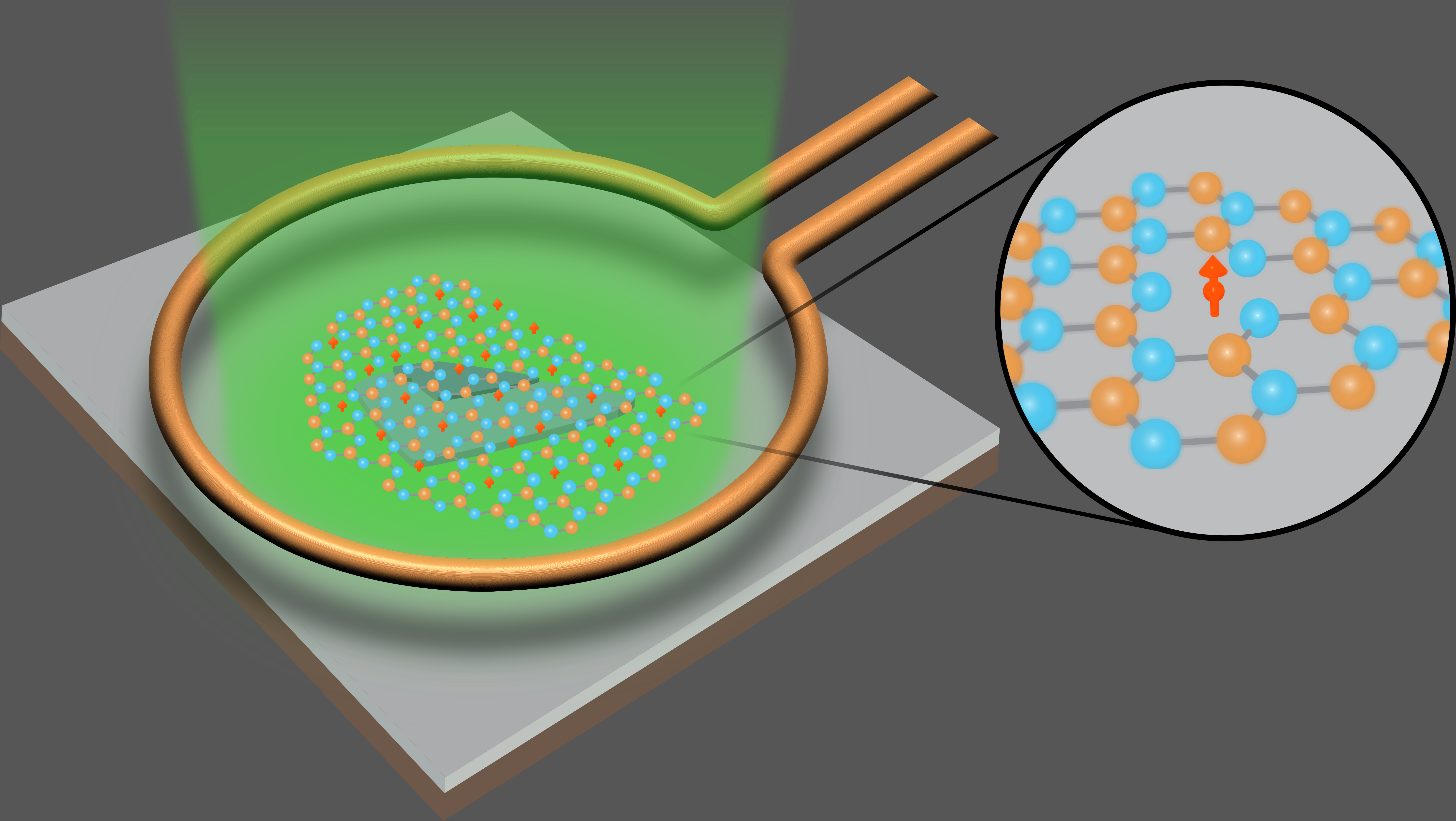 Quantum microscopy in flatland