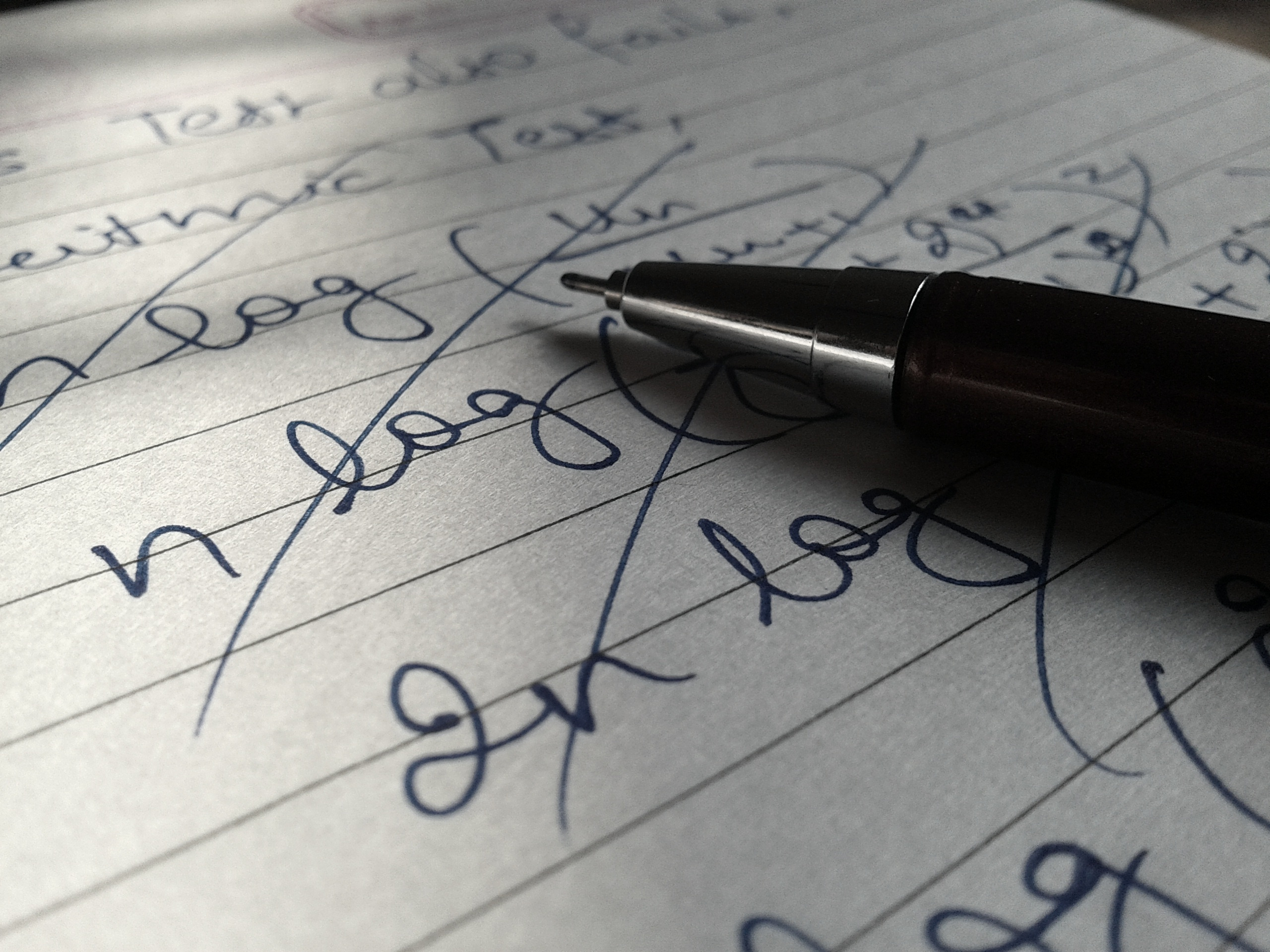 The process of thesis writing