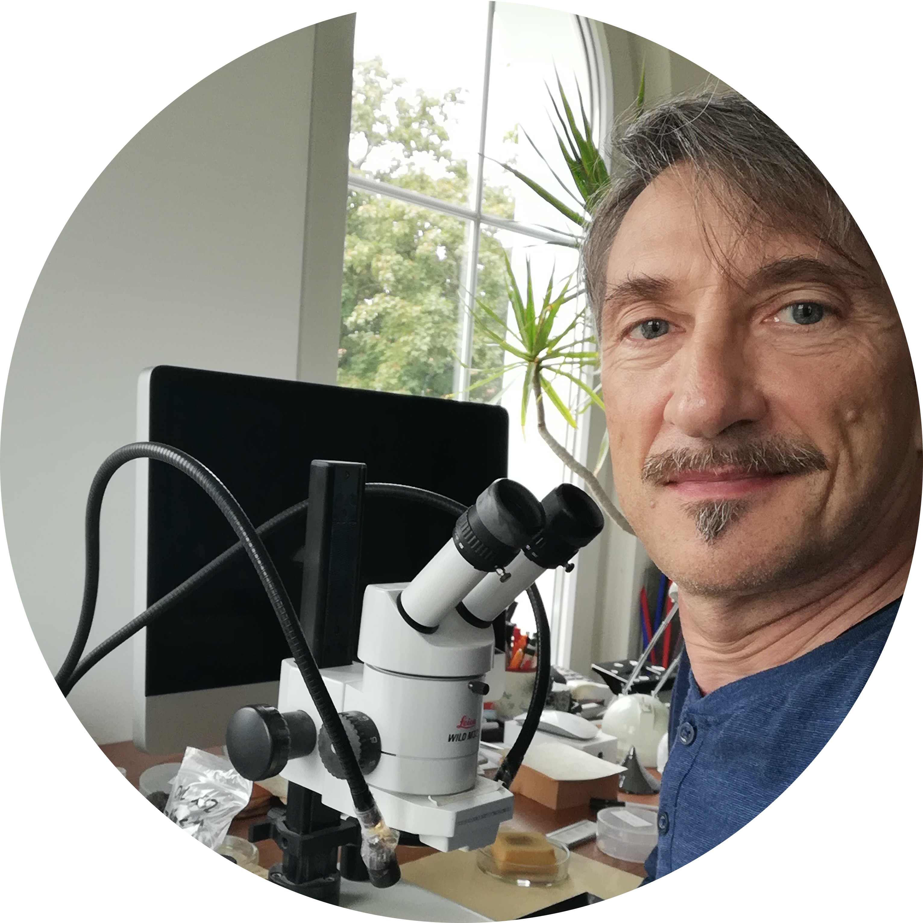 Go to the profile of Michael Steiner