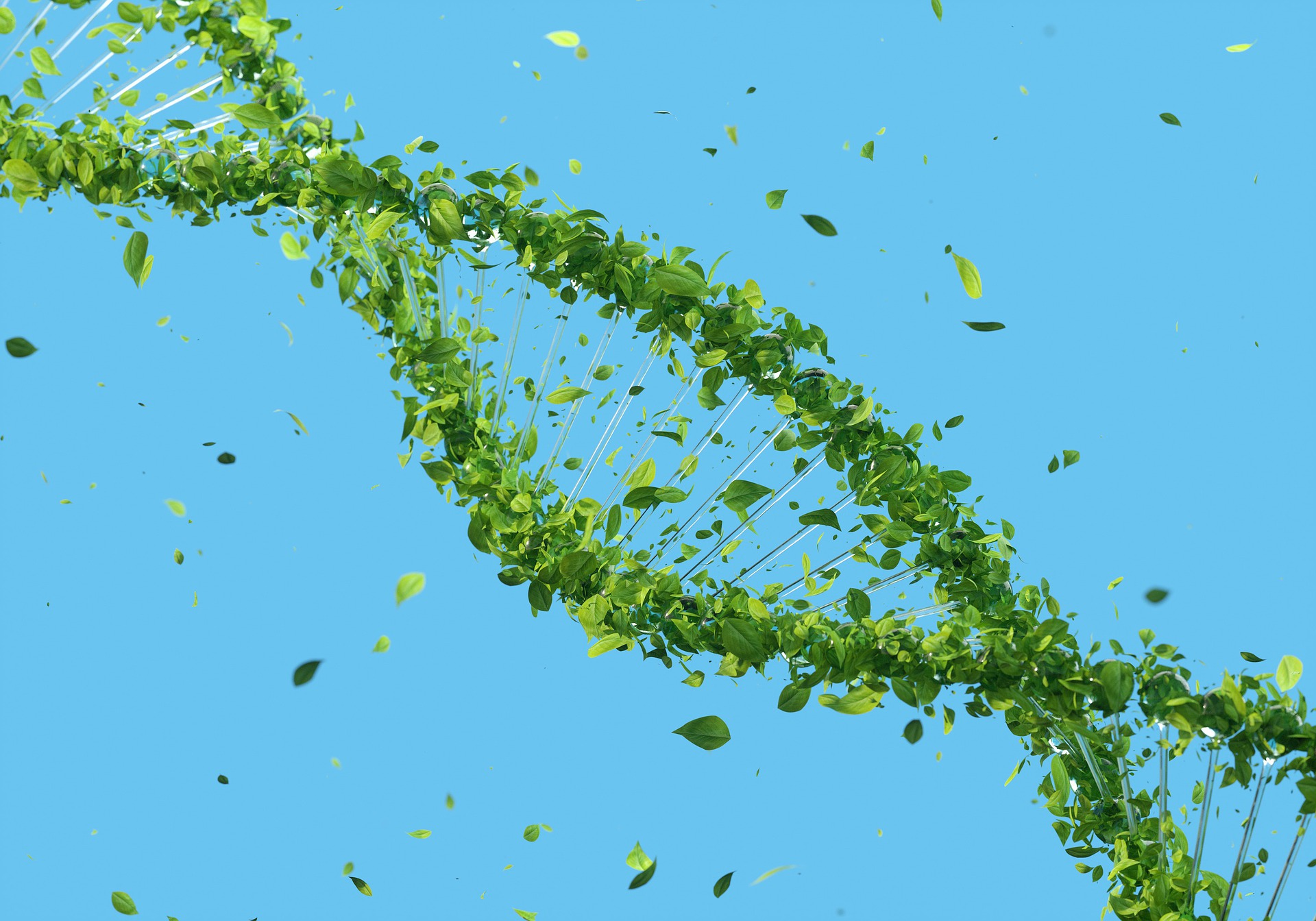 npj Summary: Nurture might be nature
