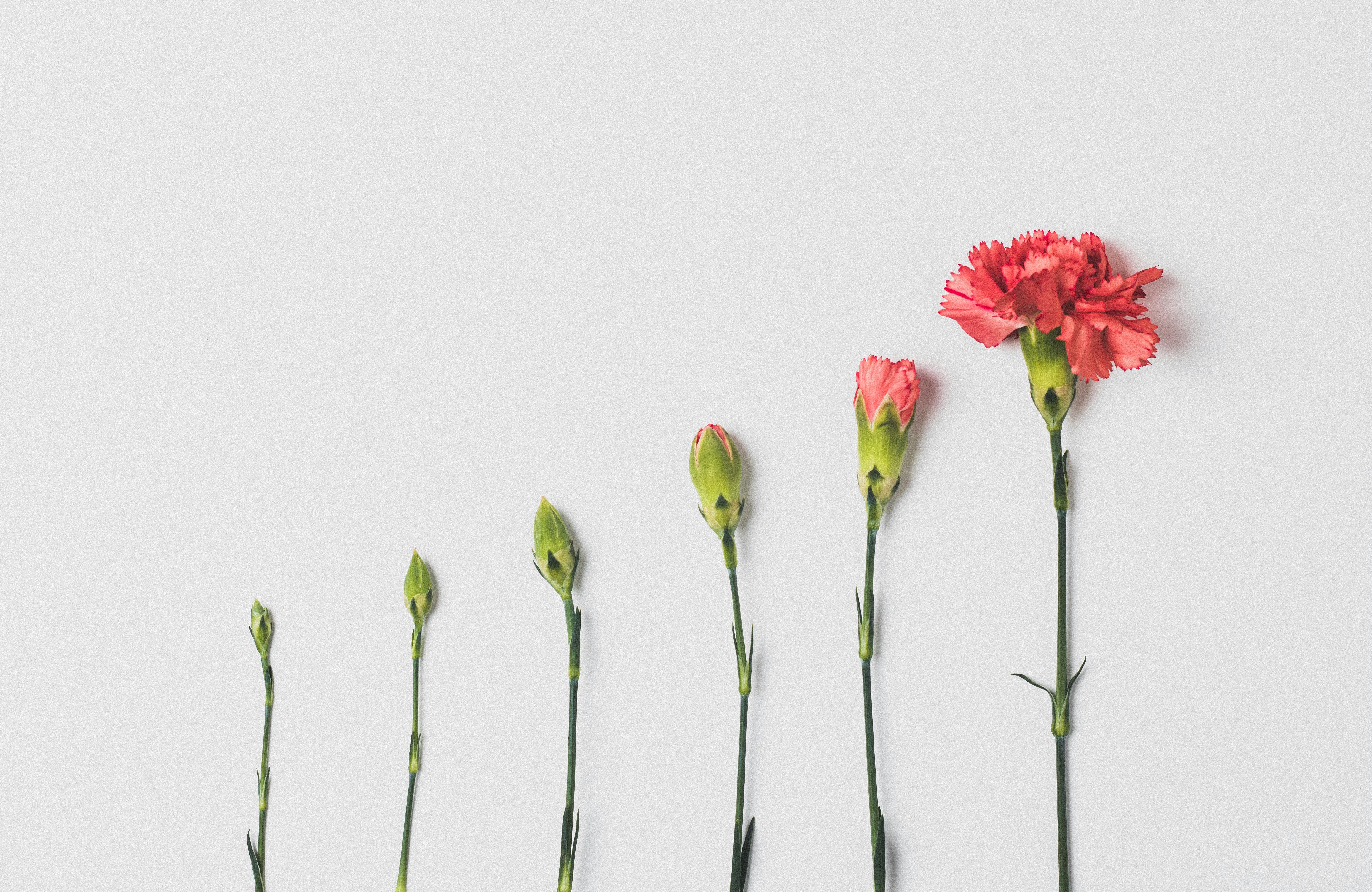 April Highlights from the Humanities and Social Sciences Communities