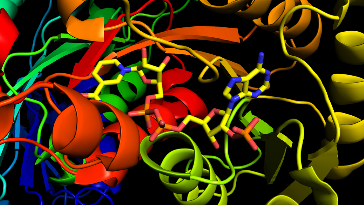 Guest Edited Collection on Chemoenzymatic Synthesis