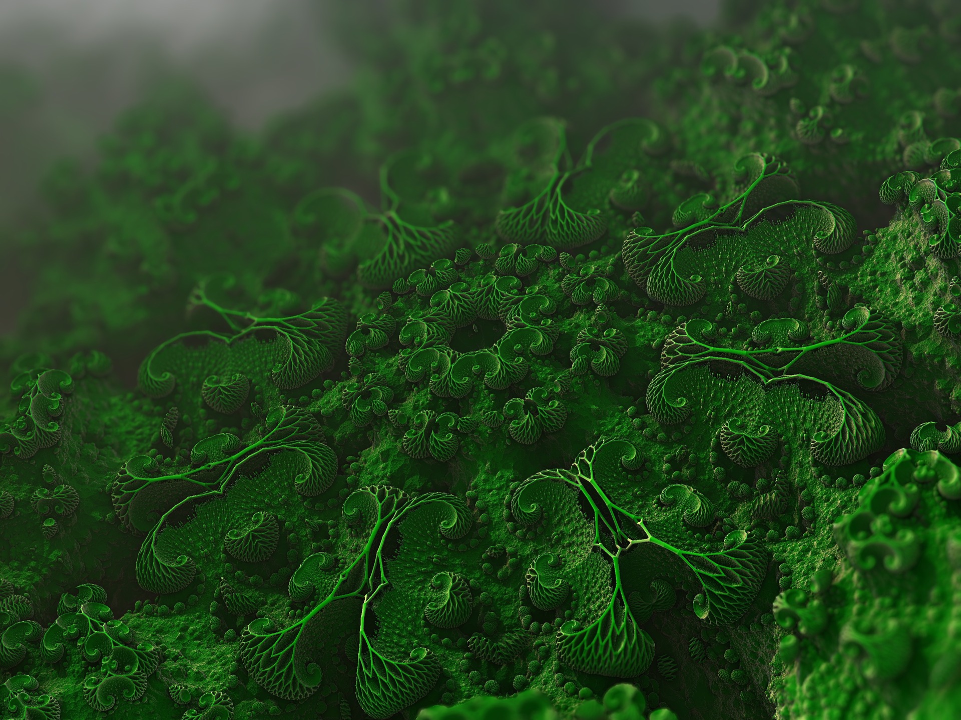 Journal Club: Restricting a siderophore enables Pseudomonas aeruginosa to resist cheater invasion