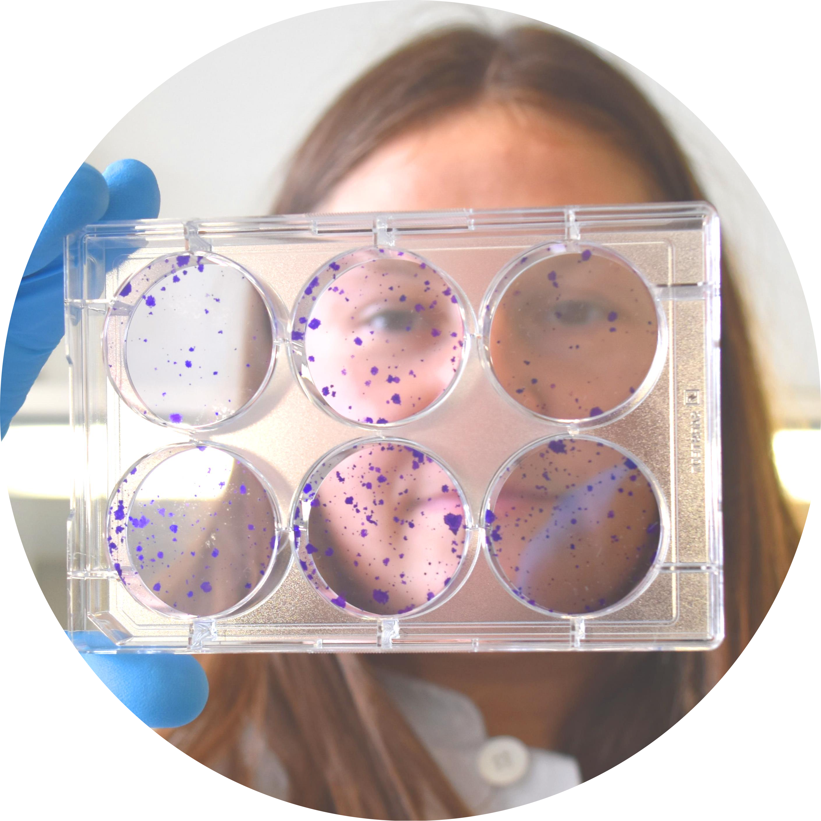 Go to the profile of Ielizaveta Gorodetska