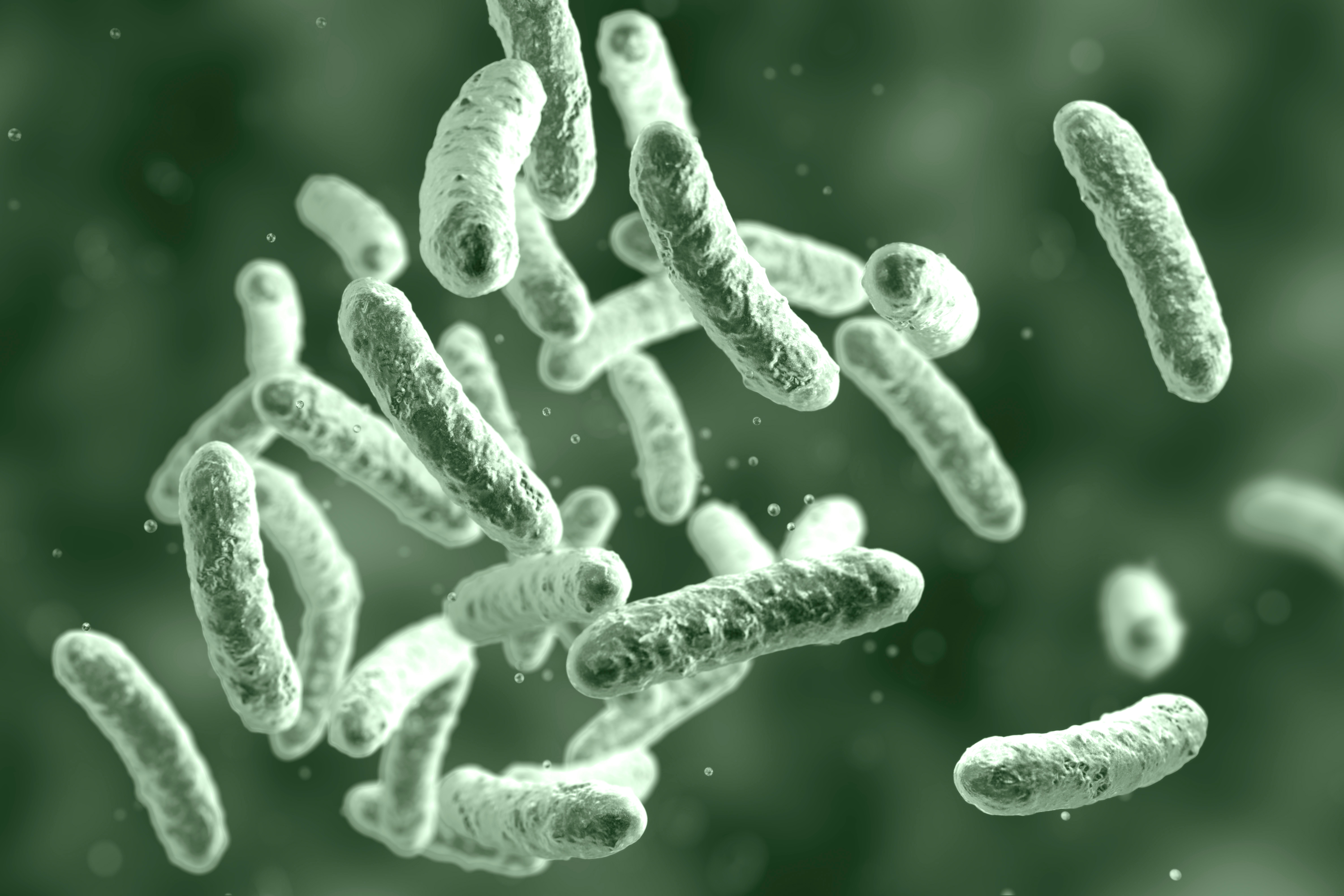 Inactivation kinetics of 280 nm UV-LEDs against Mycobacterium abscessus in water