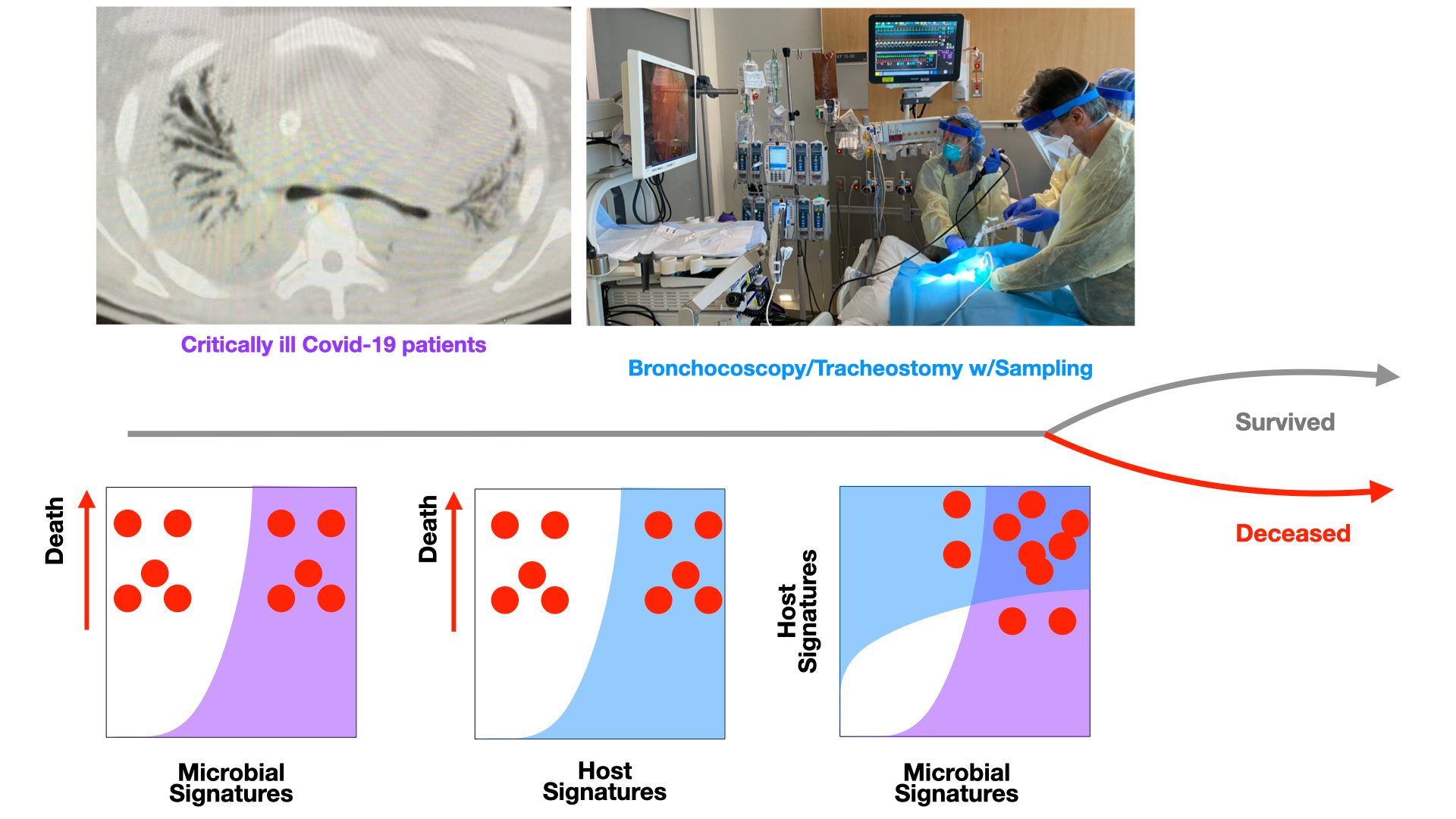 The multi-omic microverse of SARS-CoV-2 in the lungs of critically ill patients.