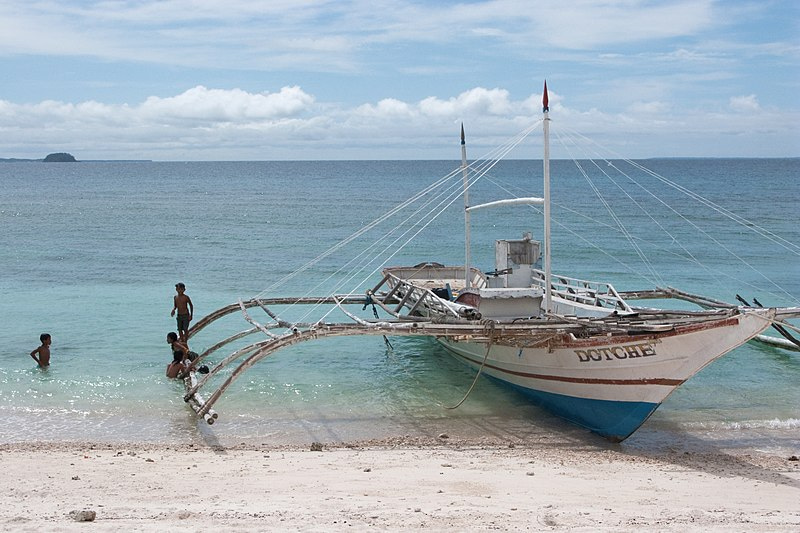 Islands are hothouses of language diversity 