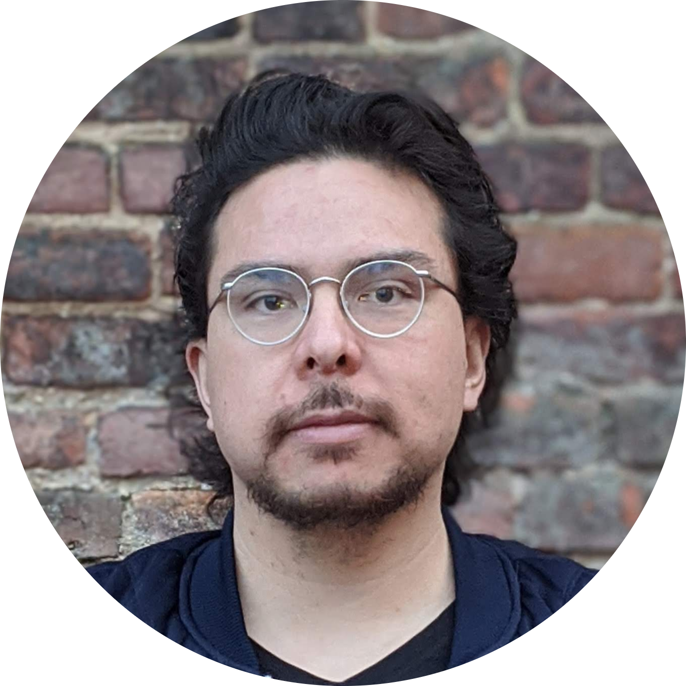 Go to the profile of Gianni M. Castiglione