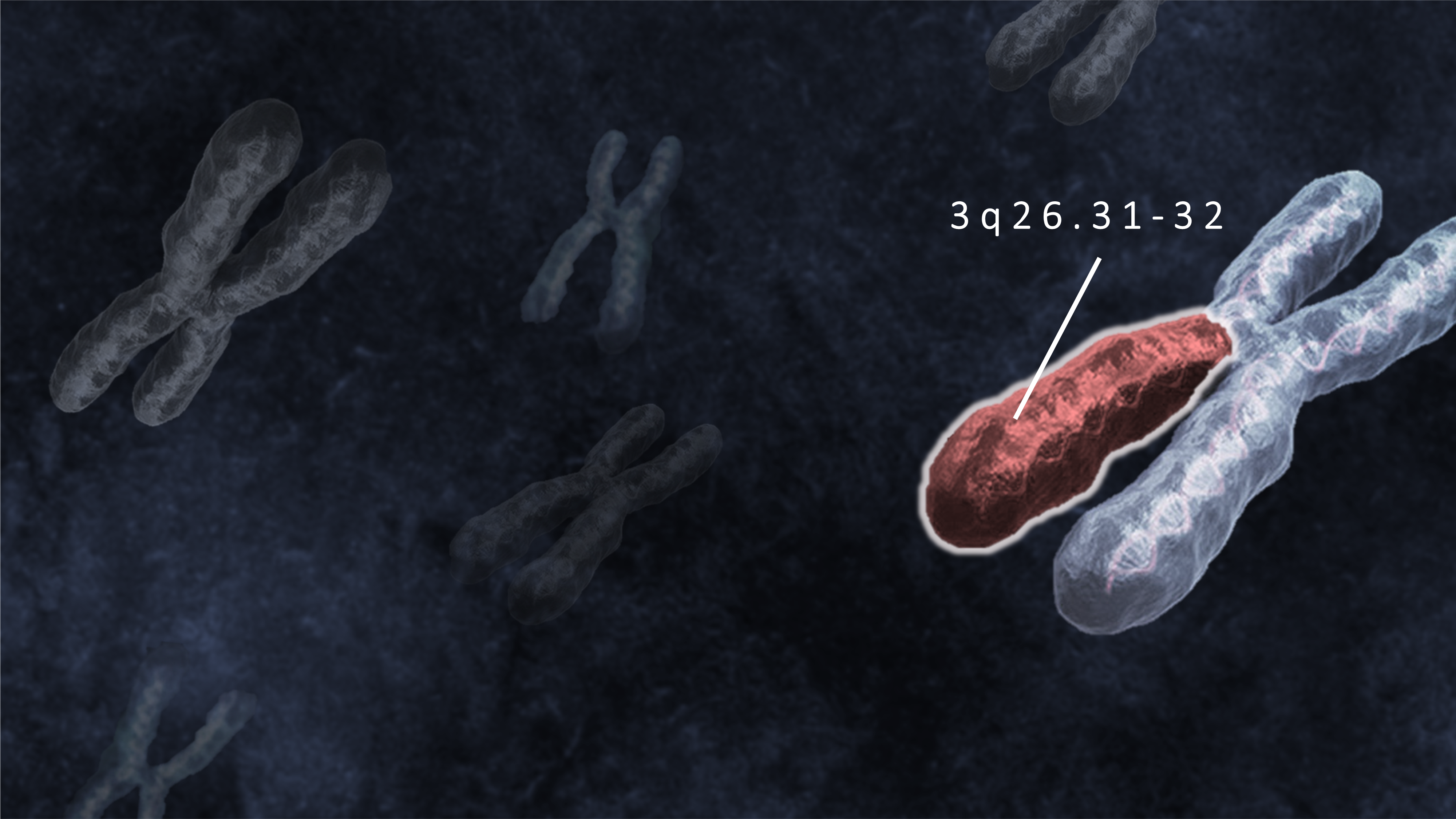 Behind the paper: Genetic alterations in the 3q26.31-32 locus confer an aggressive prostate cancer phenotype