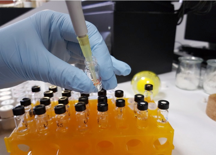 Speeding up thiol-disulfide molecular networks