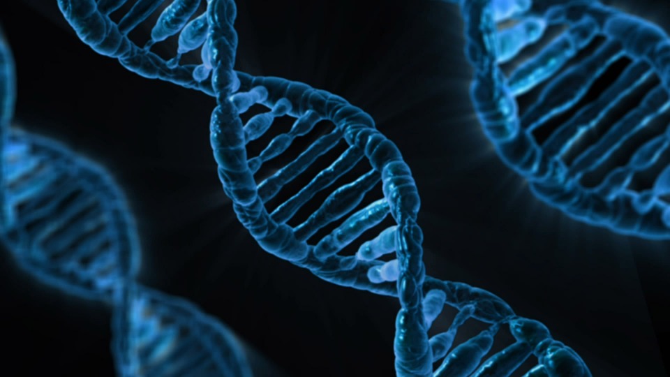 Do our genes determine learning ability?