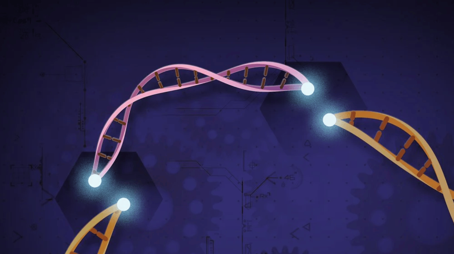 Precise cut-and-paste DNA insertion using engineered CRISPR-associated transposases