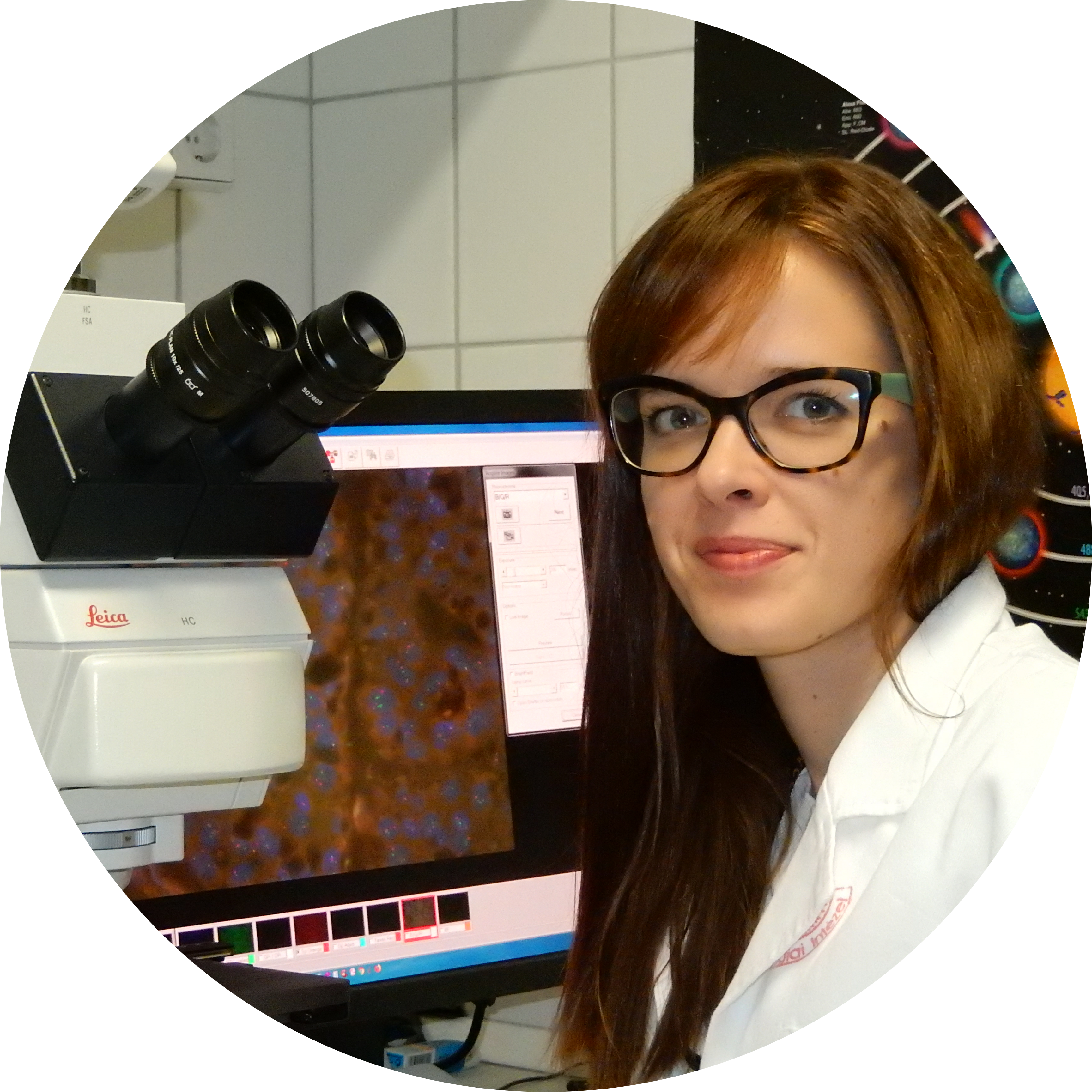 Go to the profile of Éva Kocsmár