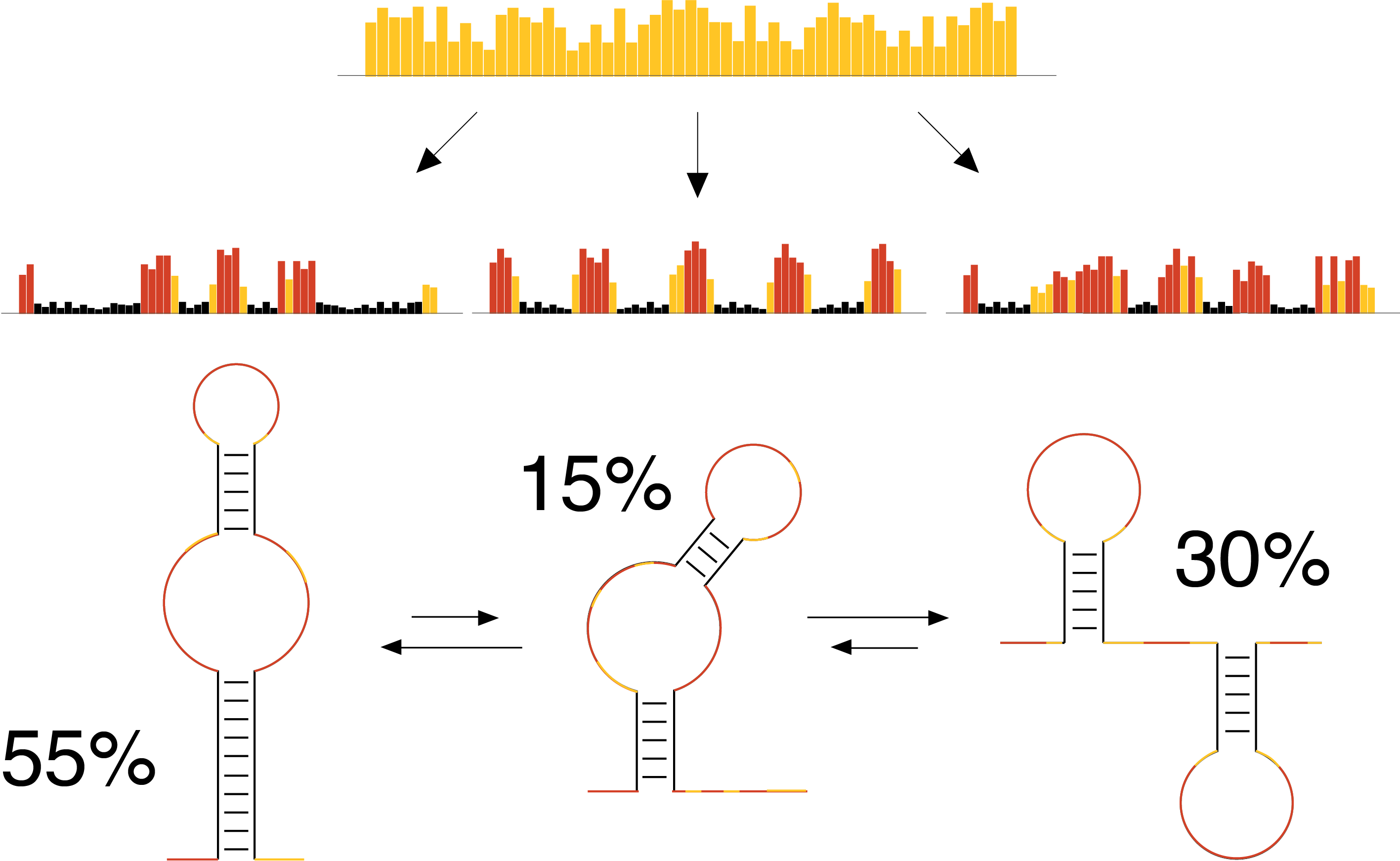 Dissecting the RNA structurome, one conformation at a time