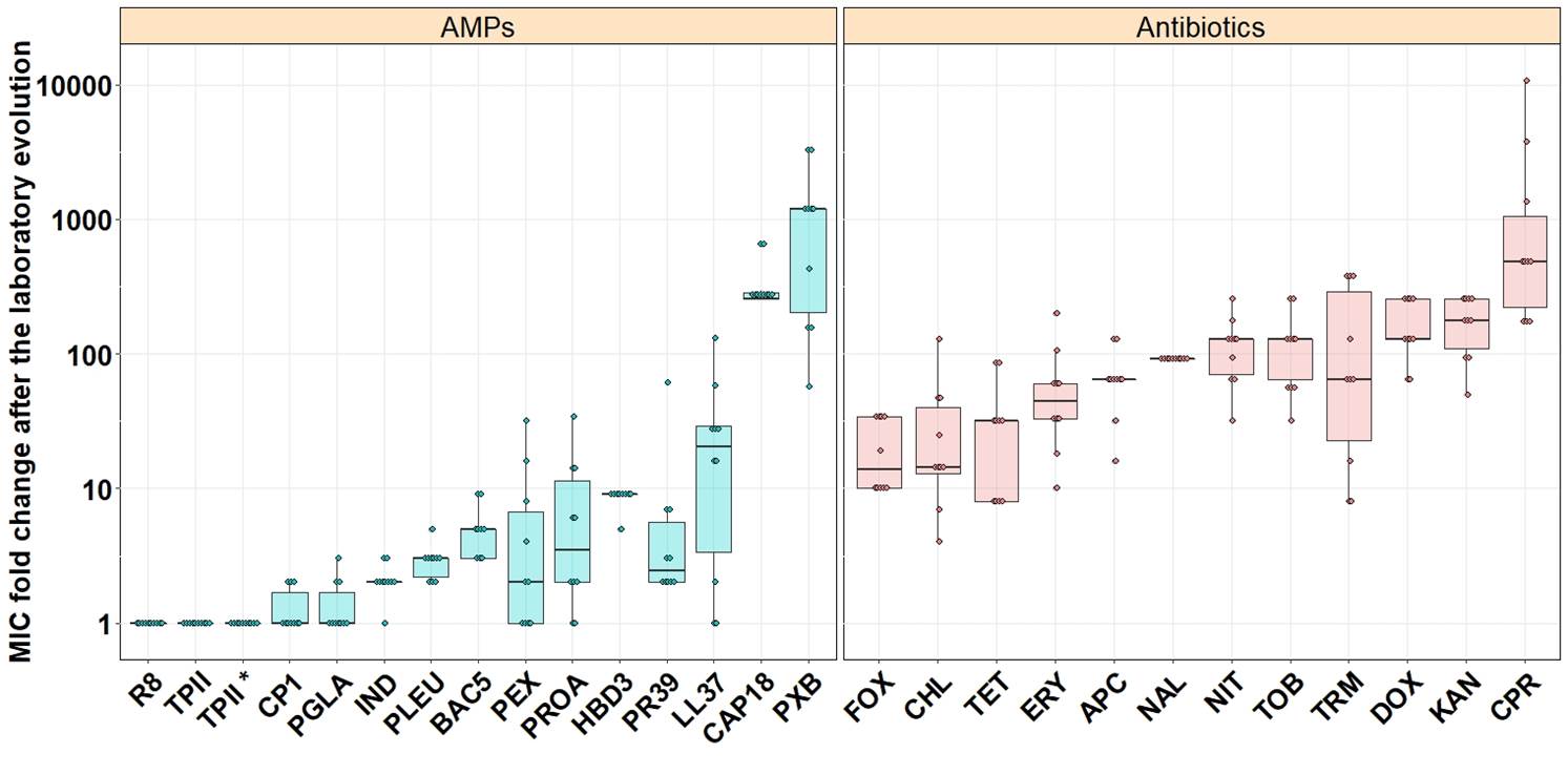 Antimicrobial peptides with limited resistance