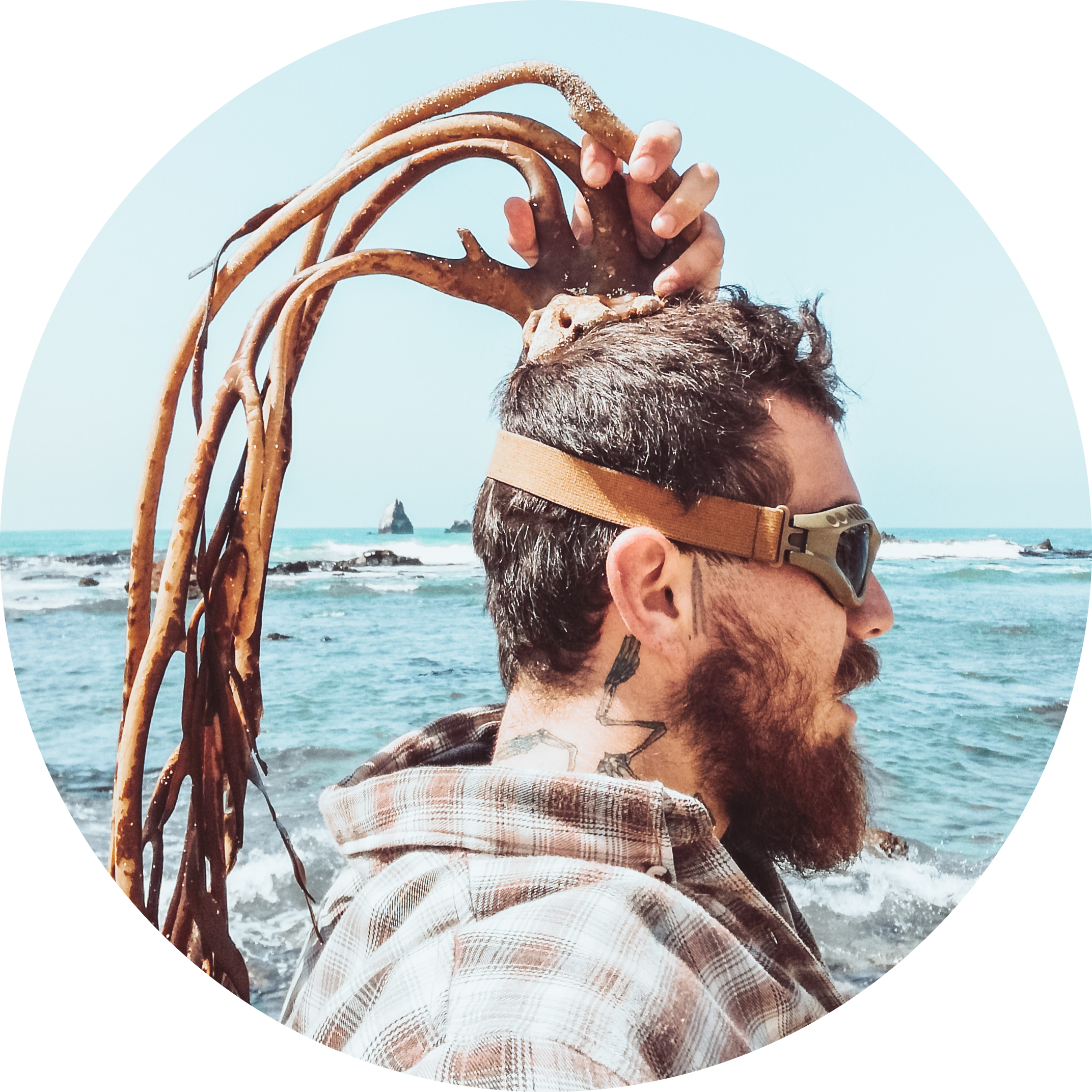 Go to the profile of Bernabé Moreno