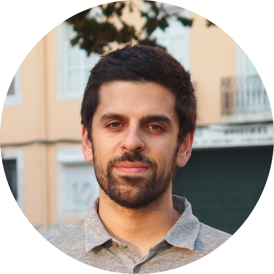 Go to the profile of Fernando P. Santos