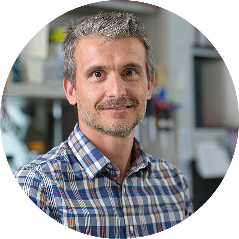 Go to the profile of Fabio Vanoli