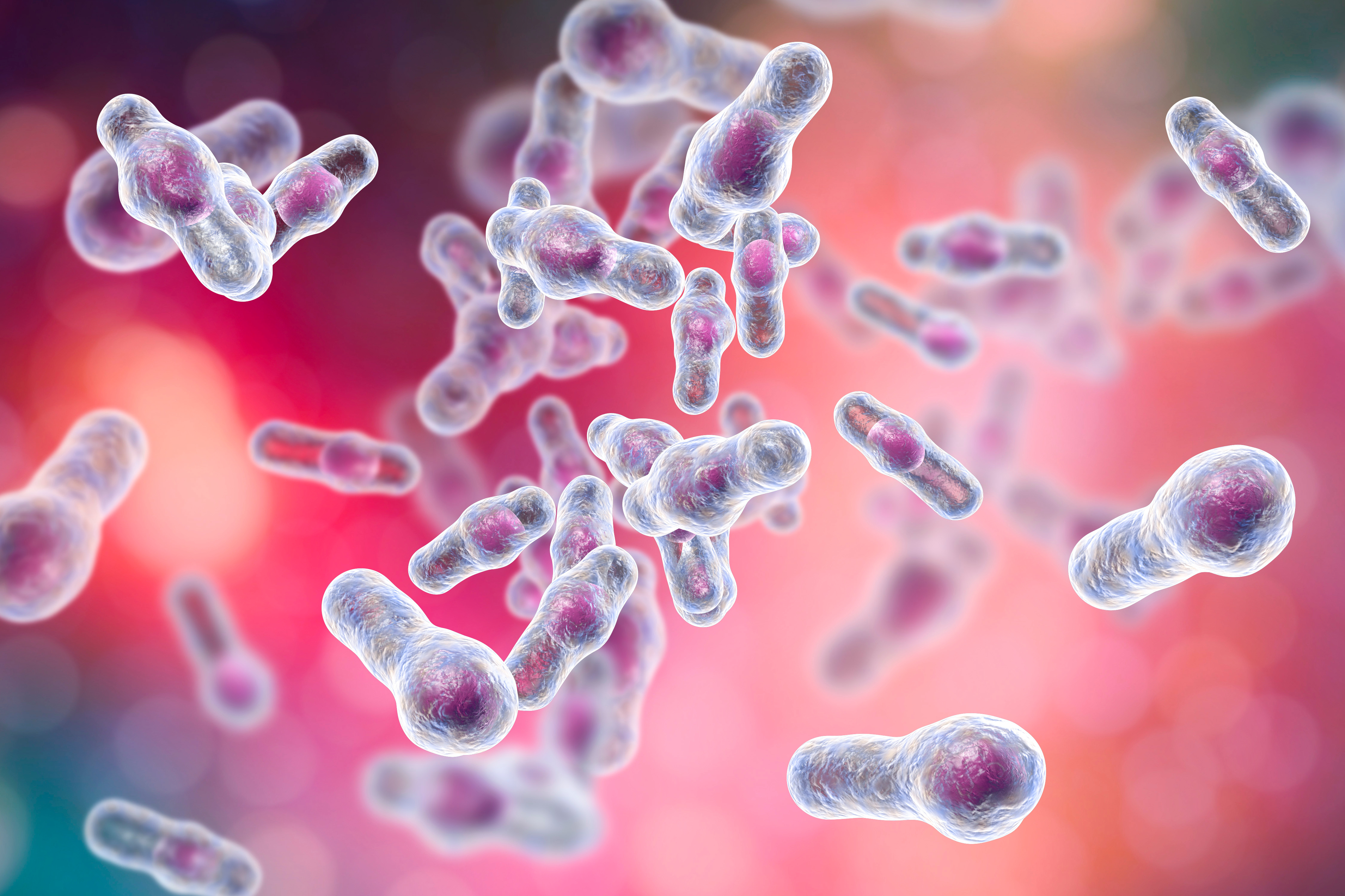 Developing predictive microbiota-based markers for CDI