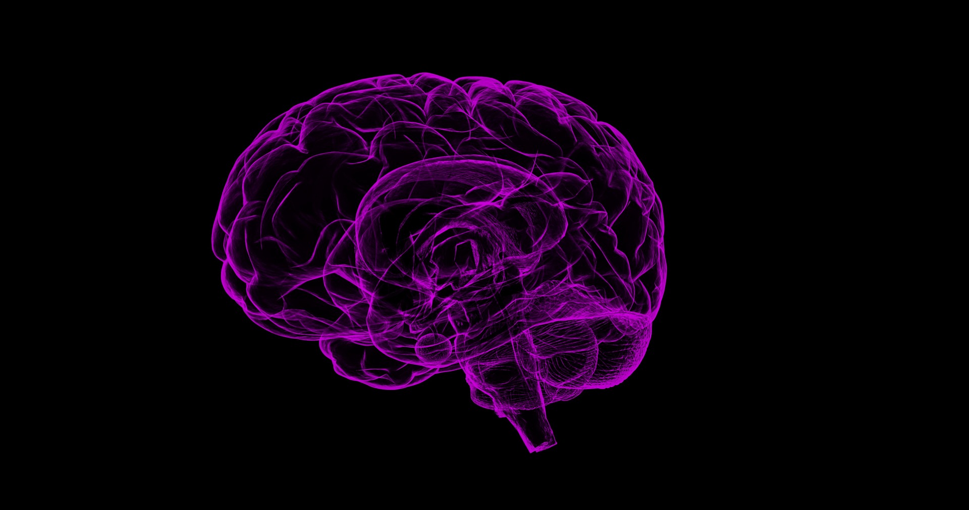 The Brain Prize 2019 - Call for nominations