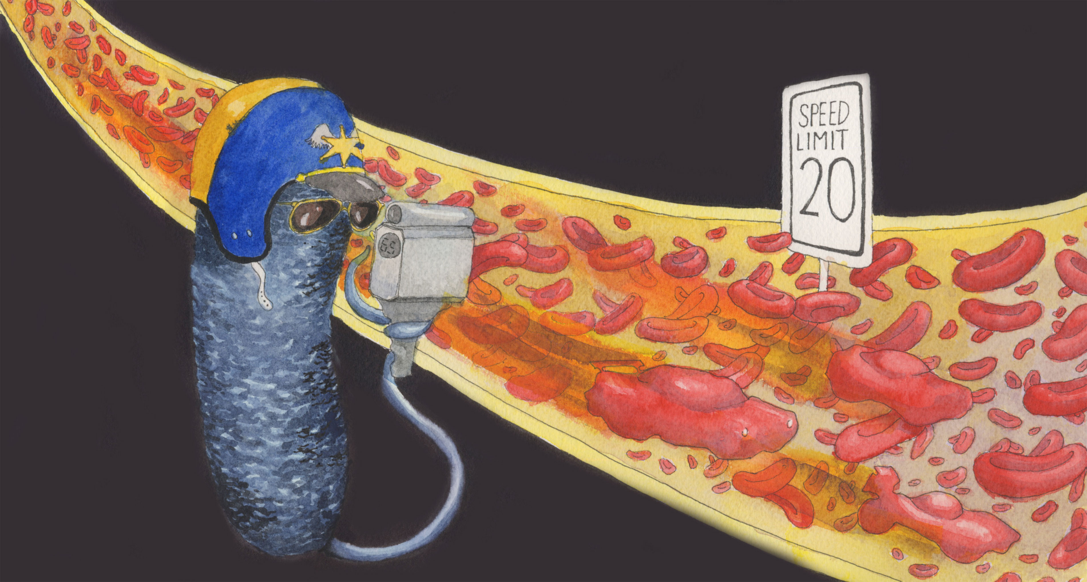 Rheosensing: how bacteria feel the flow
