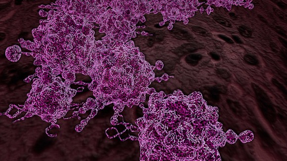 Cancer Editors' Highlights