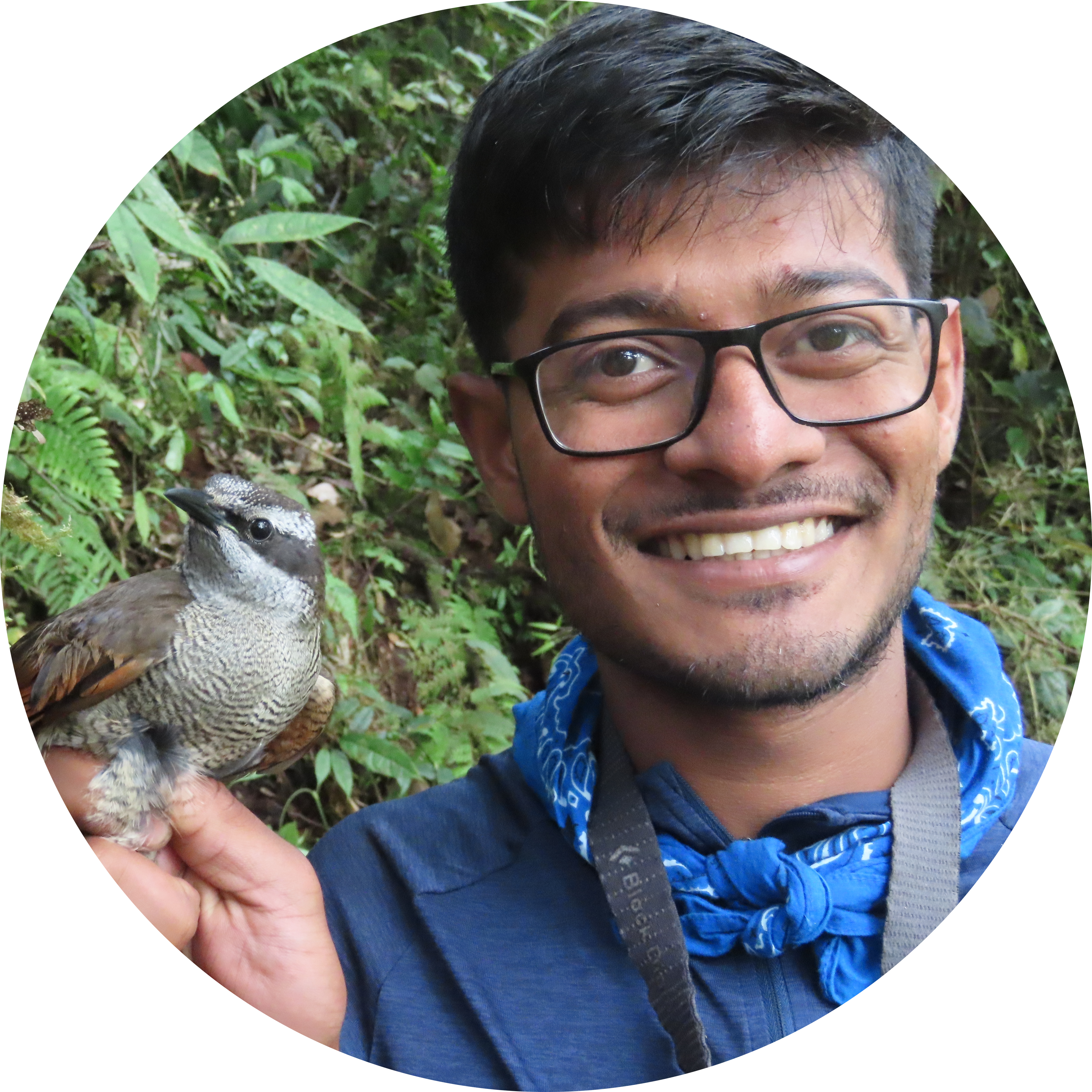 Go to the profile of Kasun H. Bodawatta