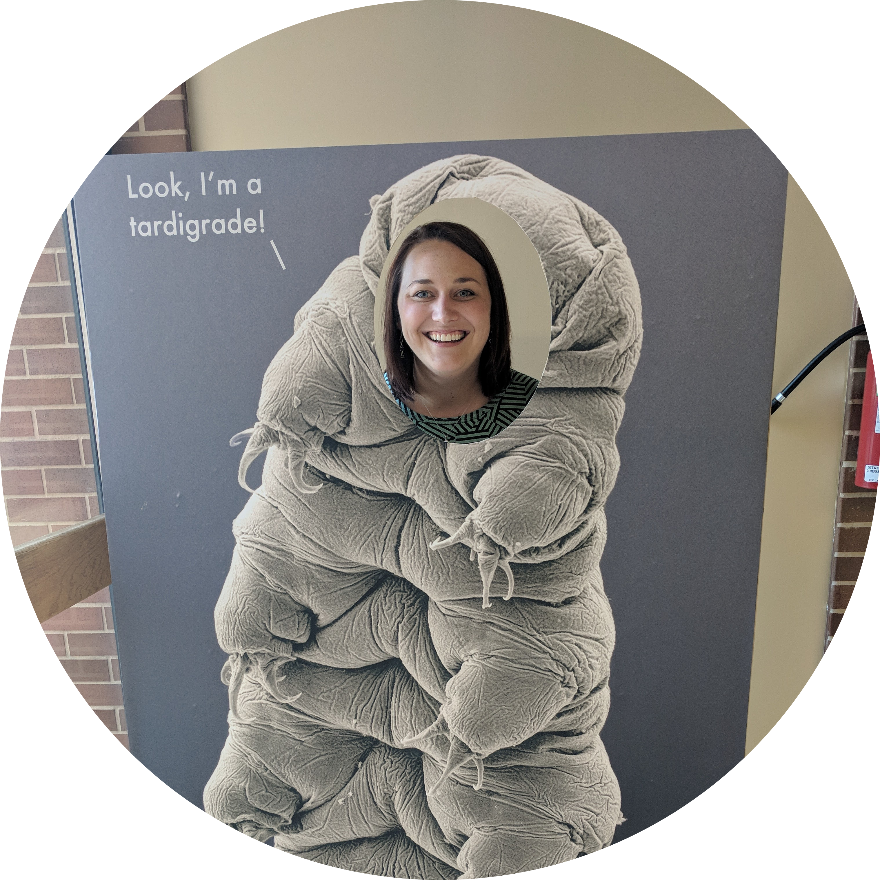 Go to the profile of Courtney Clark-Hachtel